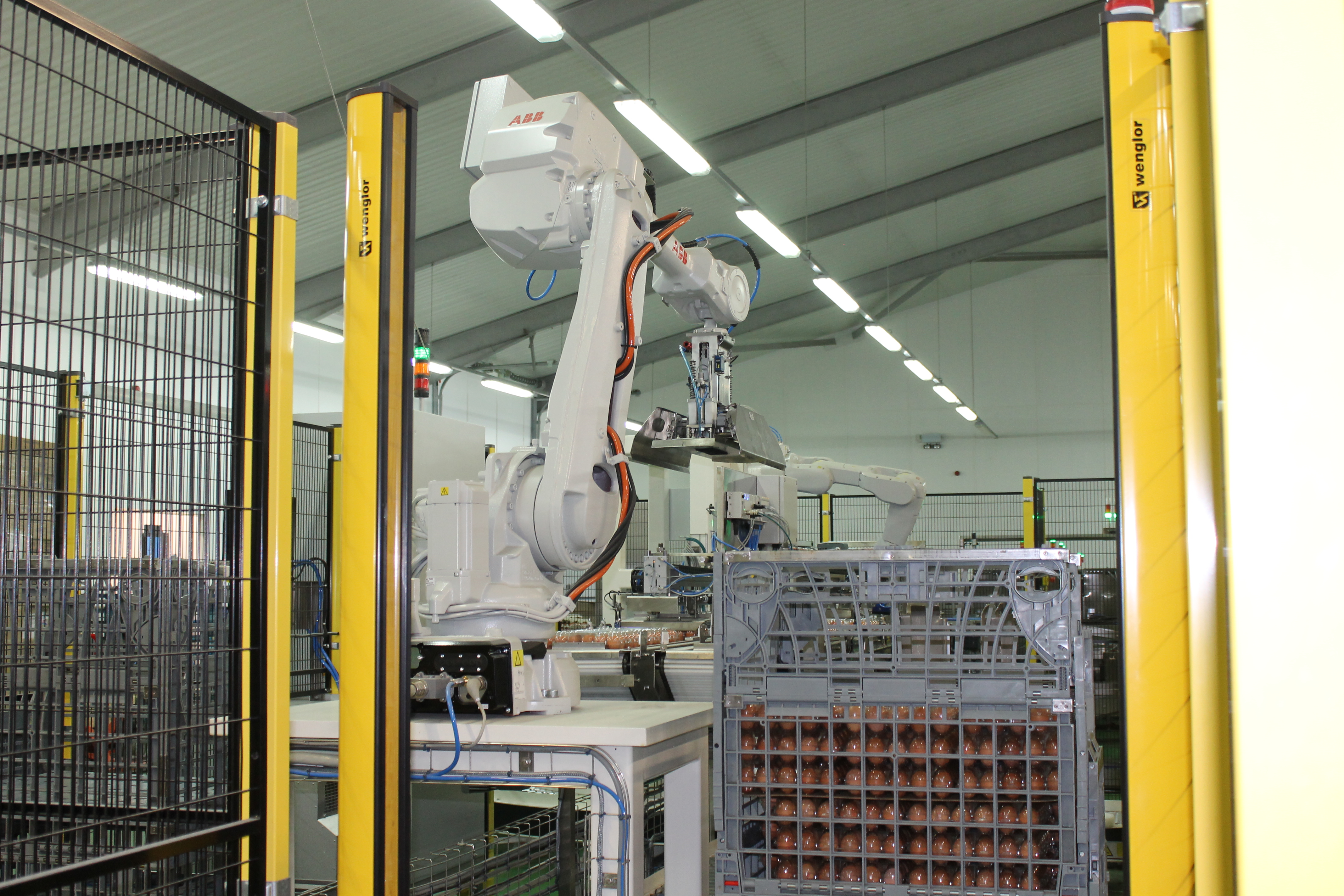 egg palletising robot