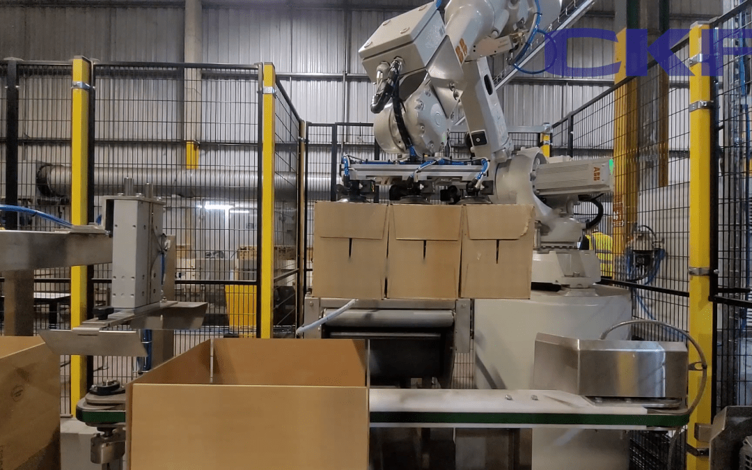 CKF supply their latest robotic case packing system to a leading 3PL